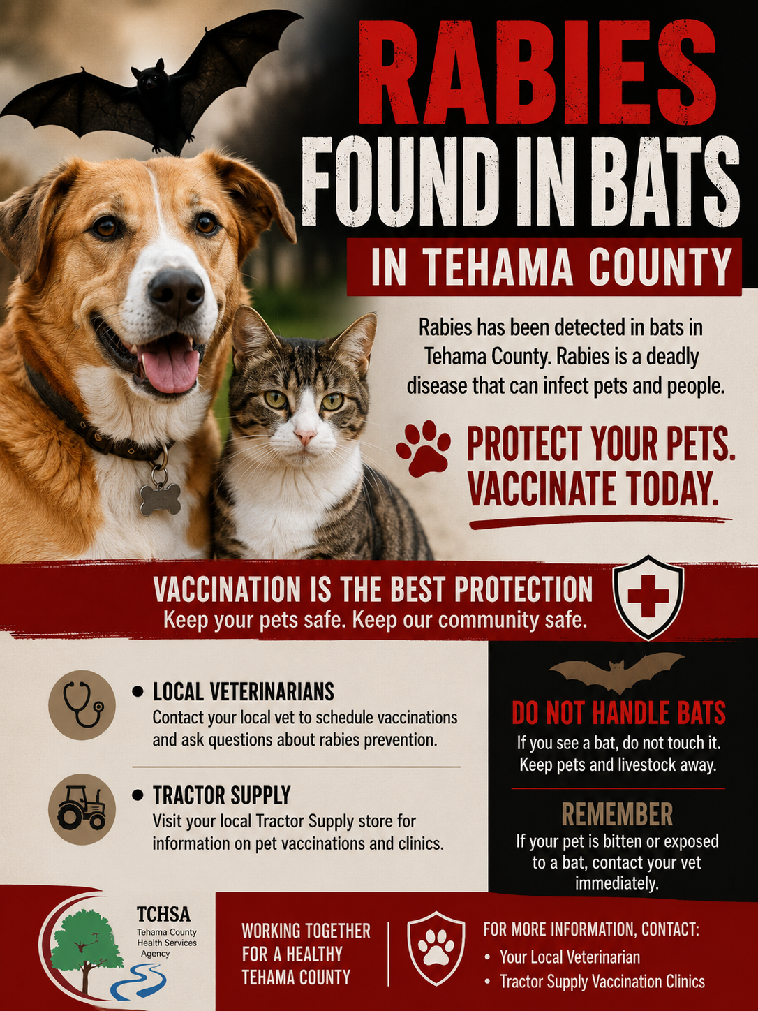 PSA - Rabies Found in Bats